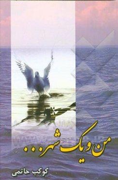 من و یک شهر ...