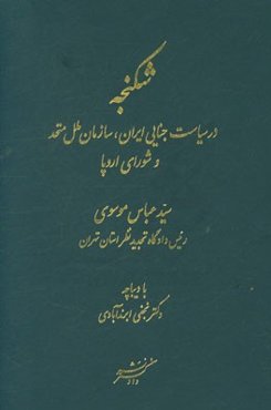 شکنجه: در سیاست جنایی ایران، سازمان ملل متحد و شورای اروپا