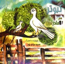 کبوتر هم مادر است