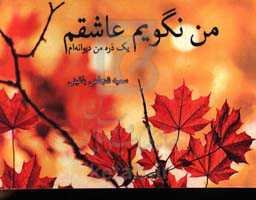 من نگویم عاشقم یک‌ذره من دیوانه‌ام