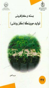 تولید مورینگا (گز روغنی)