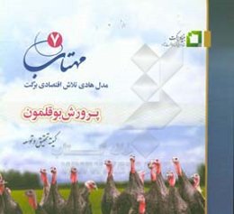 مهتاب 7: مدل هادی تلاش اقتصادی برکت: (پرورش بوقلمون)