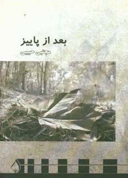 بعد از پاییز