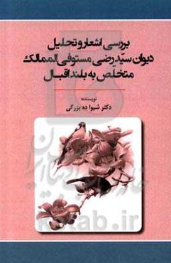 بررسی اشعار و تحلیل دیوان سیدرضی مستوفی‌الممالک متخلص به بلند اقبال