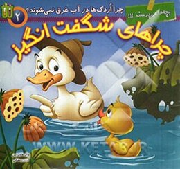 چرا اردک‌ها در آب غرق نمی‌شوند؟