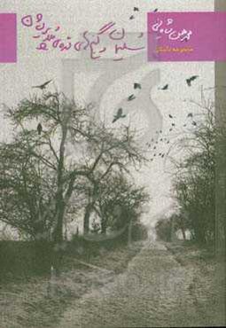 سلیمان و گنج‌های دره ملاپریشان