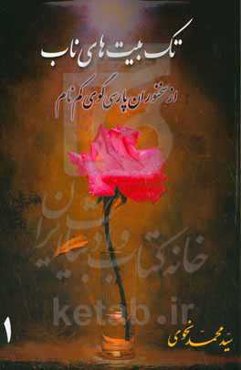 تک بیت‌های ناب از سخنوران پارسی‌گوی کم نام