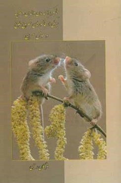 تاثیر رایحه بدن والدین و غریبه بر یکی از فاکتورهای شروع بلوغ در موش صحرایی