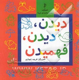 دیدن، دیدن، فهمیدن