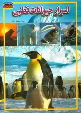 اسرار حیوانات قطبی