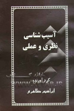 آسیب‌شناسی نظری و عملی