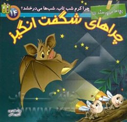 چرا کرم شب‌تاب، شب‌ها می‌درخشد؟