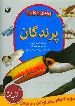 پرندگان: پاسخ به کنجکاوی‌های کودکان و نوجوانان