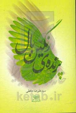 پرنده‌ی رنگین‌بال: رمان نوجوان