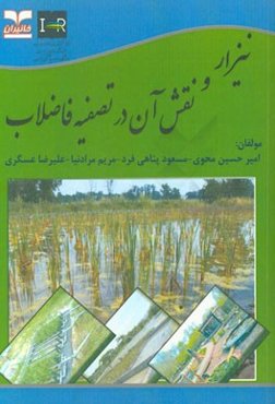 نیزار و نقش آن در تصفیه فاضلاب