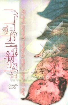 از رحلت رسول خدا (ص) تا شهادت حضرت زهرا (س): روزشمار تشکیل سقیفه تا شهادت بانوی دو عالم