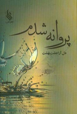 پروانه شدم!