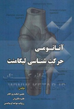 آناتومی حرکت‌شناسی لیگامنت