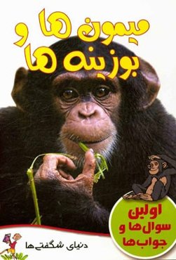 میمون‌ها و بوزینه‌ها