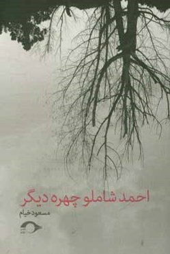 احمد شاملو - چهره‌ی دیگر