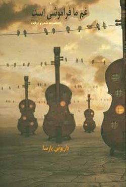 غم ما فراموشی است