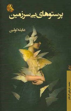 پرستوهای بی‌سرزمین