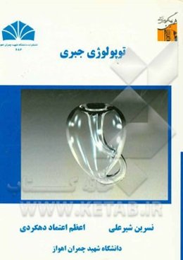 توپولوژی جبری