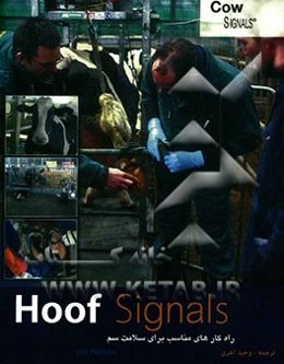 راهکارهای مناسب برای سلامت سم