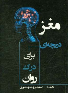 مغز، دریچه‌ای برای درک روان