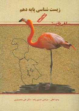 سلفی با زیست‌شناسی 1: پایه دهم دوره دوم متوسطه علوم تجربی