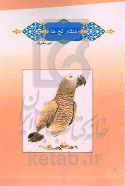 منقار کج‌ها