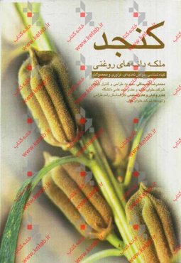 کنجد؛ ملکه دانه‌های روغنی