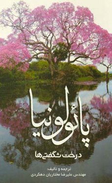 پائولونیا، درخت شگفتی‌ها