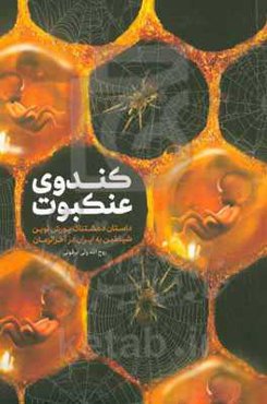 کندوی عنکبوت