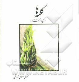 کلمه‌ها: برگرفته از نوشته‌ها