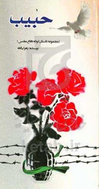 حبیب: مجموعه داستان کوتاه دفاع مقدس