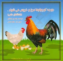 جوجه کوچولوها مرغ و خروس می‌شوند