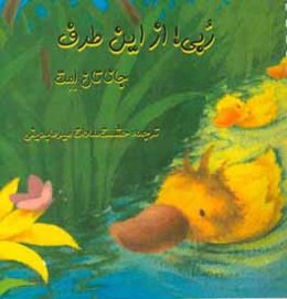 ربی! از این طرف