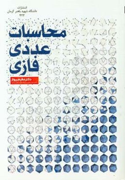 محاسبات عددی فازی