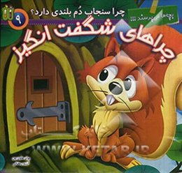 چرا سنجاب دم بلندی دارد؟