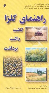راهنمای کلزا (کاشت، داشت و برداشت)