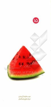 آداب دیدار از خویشاوندان