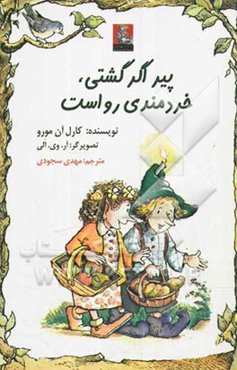 پیر اگر گشتی، خردمندی رواست