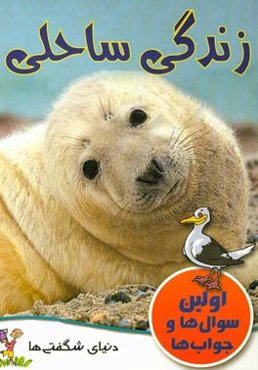 زندگی ساحلی