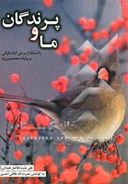 ما و پرندگان