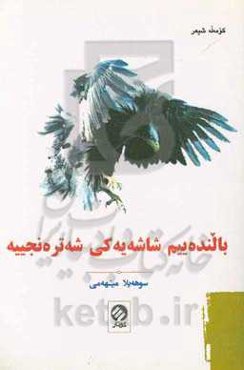 بالنده‌‌ییم شاشەیەکی شەترەنجییە: کومه‌له شیعر