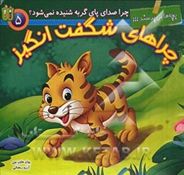 چرا صدای پای گربه شنیده نمی‌شود؟