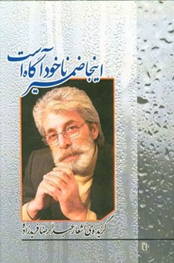 اینجا ضمیر ناخودآگاه است (گزیده‌ی اشعار)