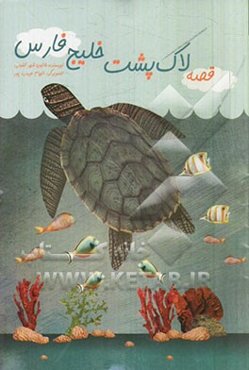 مدلسازی عددی در رودخانه‌ها