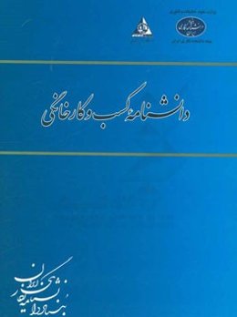 دانشنامه کسب و کار خانگی